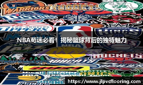 NBA苟迷必看！揭秘篮球背后的独特魅力