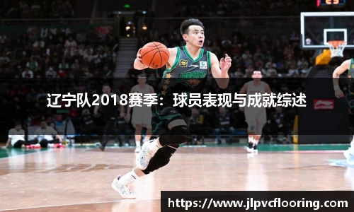 辽宁队2018赛季：球员表现与成就综述
